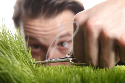 SOLUTION SUR MESURE CREATION CONCEPT ANIMATION ANIMATION SUR MESURE | bea-partenaire