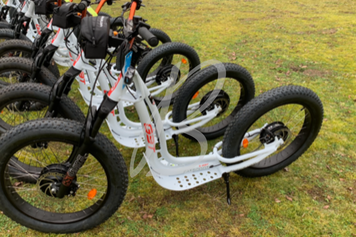 RANDO BALADE TROTTINETTE TOUT TERRAIN SENTIERS VITESSE | BEA Conception