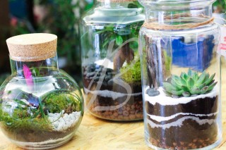 ATELIER ANIMATION INCENTIVE TERRARIUM ADOPTE UN EVENEMENT ARTISAN COMPOSE UN ECO SYSTEME TEAM BUILDING | BEA Conception