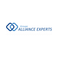 ALLIANCE EXPERTS IDF